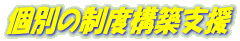 個別の制度構築支援