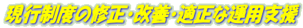 現行制度の修正・改善・適正な運用支援 