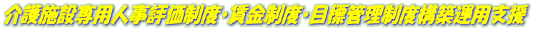 介護施設専用人事評価制度・賃金制度・目標管理制度構築運用支援